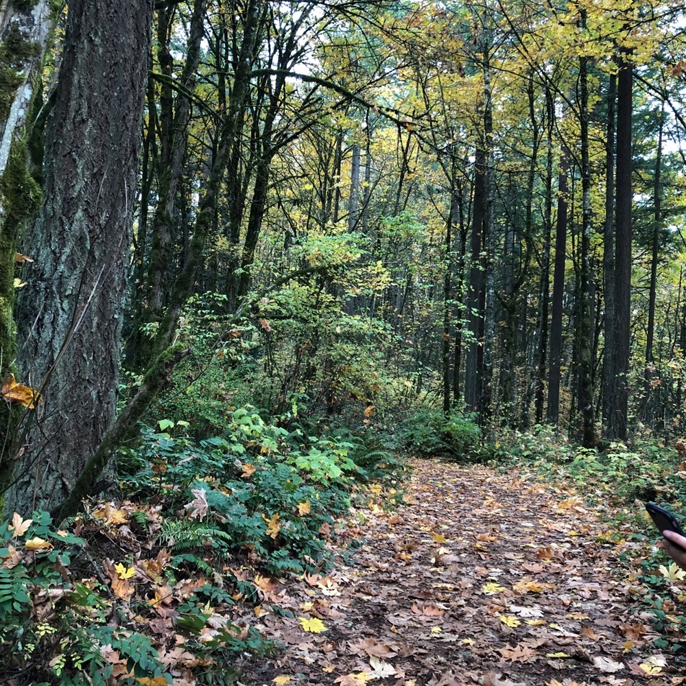 Only original and quality items. offers welcome!